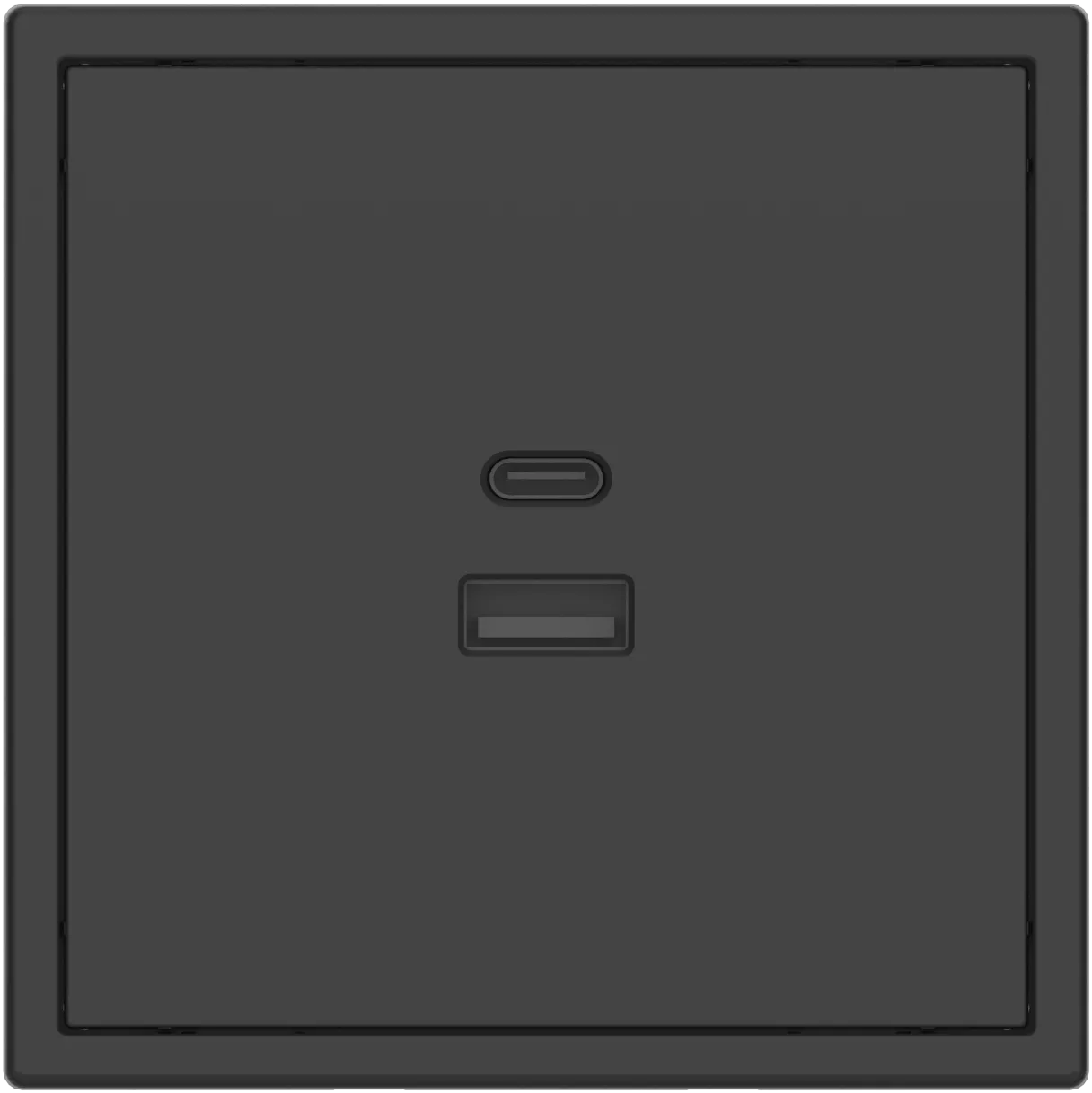 Розетка USB2.0 и Type-C серии Tile 2.1, пластик (без рамки) фото 2