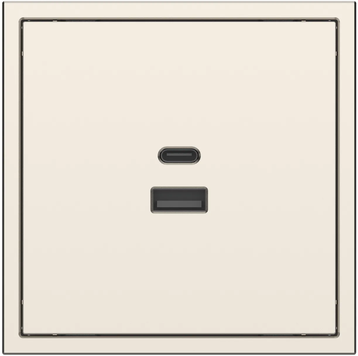 Розетка USB2.0 и Type-C серии Tile 2.1, пластик (без рамки) фото 3